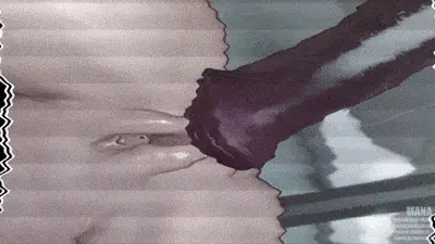 Chaotic Fried Rice 6 (Decensored)